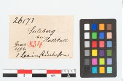 Etikett zu Beingriffplatte (NHMW-PRAE-026173)